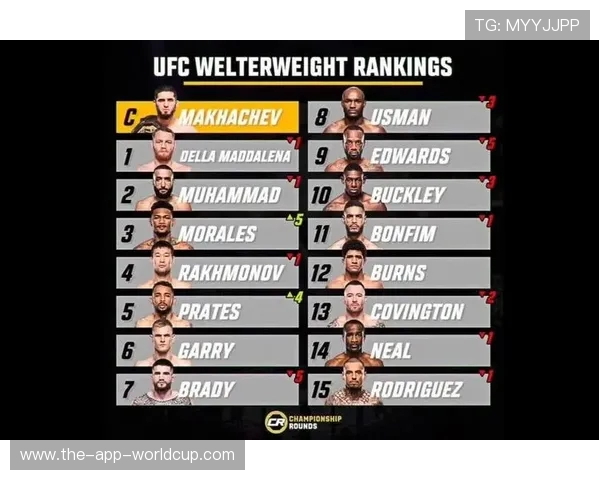 UFC 排名：所有量级的最新官方排名解析